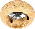  Ventilateur Plafonnier FARELEK 112449