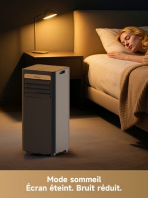  Climatiseur DREAME P-Wind 9K-Black Gold
