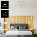 Ventilateur Plafonnier TAURUS POLAR 3B