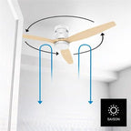  Ventilateur Plafonnier TAURUS POLAR 3B