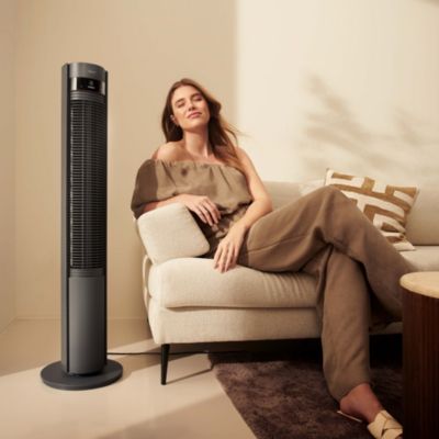  Ventilateur DUUX DXTF01 Elevate